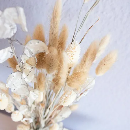 Apartment Nova 18 I Phantasialand, Cologne, Bonn Erftstadt