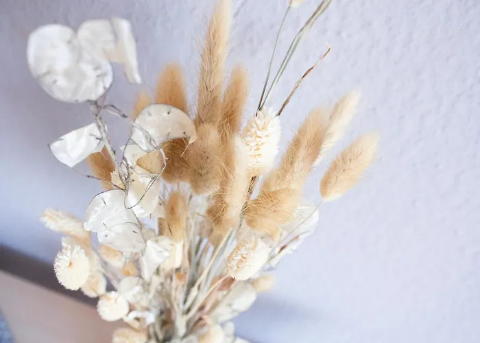 Apartmán Nova 18 I Phantasialand, Cologne, Bonn Erftstadt